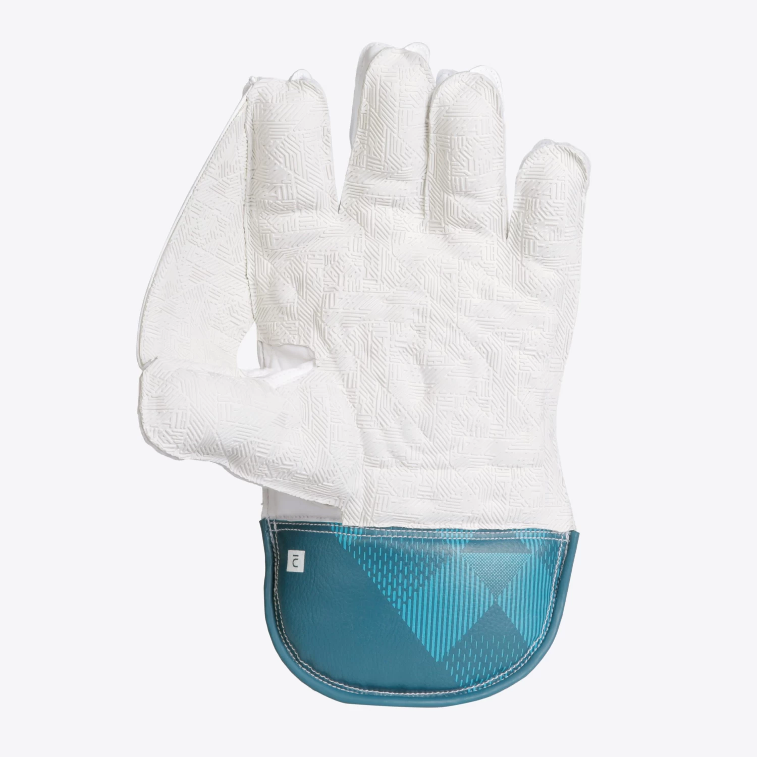 ADULT CRICKET KEEPING GLOVES WKG 500 2 ADULT CRICKET KEEPING GLOVES WKG 500 - Image 2